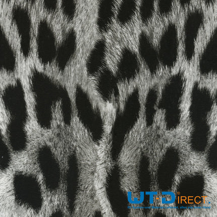 Wassertransferdruck Folie Gepard ohne Hintergrund I-141-3