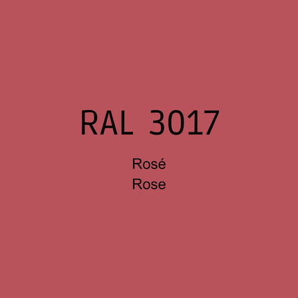 RAL 3017 Rose in 1K Lack
