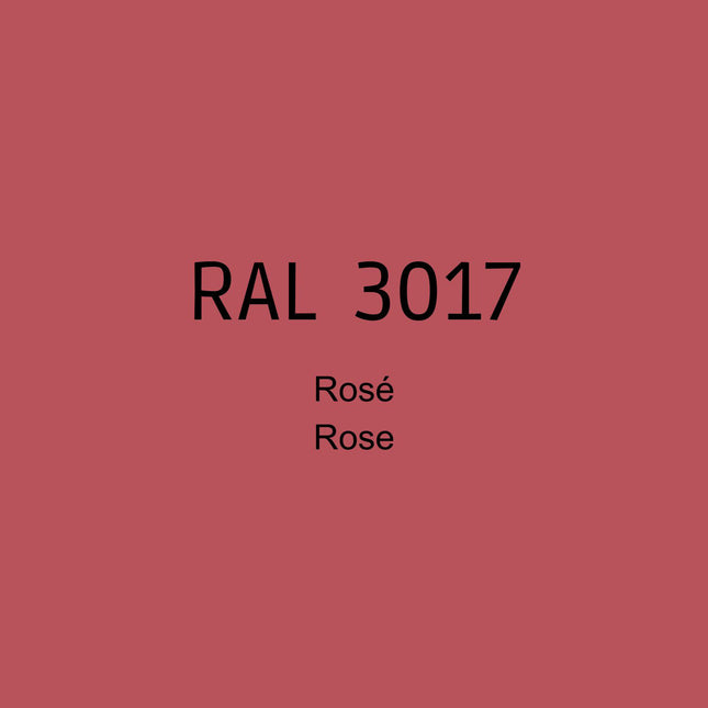 RAL 3017 Rose in 1K Lack