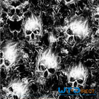 Wassertransferdruckfolie Totenkopf Schwarz Weiß WT-1715H – Anwendungsbeispiel